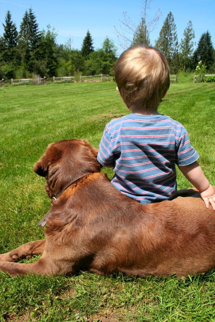 Descrição da imagem #PraCegoVer: A imagem está no formato retangular, na vertical. Nela, um menino está sentado em um gramado verde, junto com um cachorro. Fim da descrição.