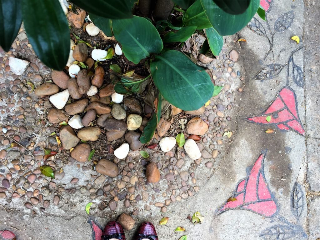Descrição da imagem #PraCegoVer: Imagem no formato retangular, na horizontal. Uma calçada com flores vermelhas estampadas no piso, pedras de diversos tamanhos e cores em volta de arbustos com folhas largas dificultando a locomoção dos pedestres na calçada. Fim da descrição.
