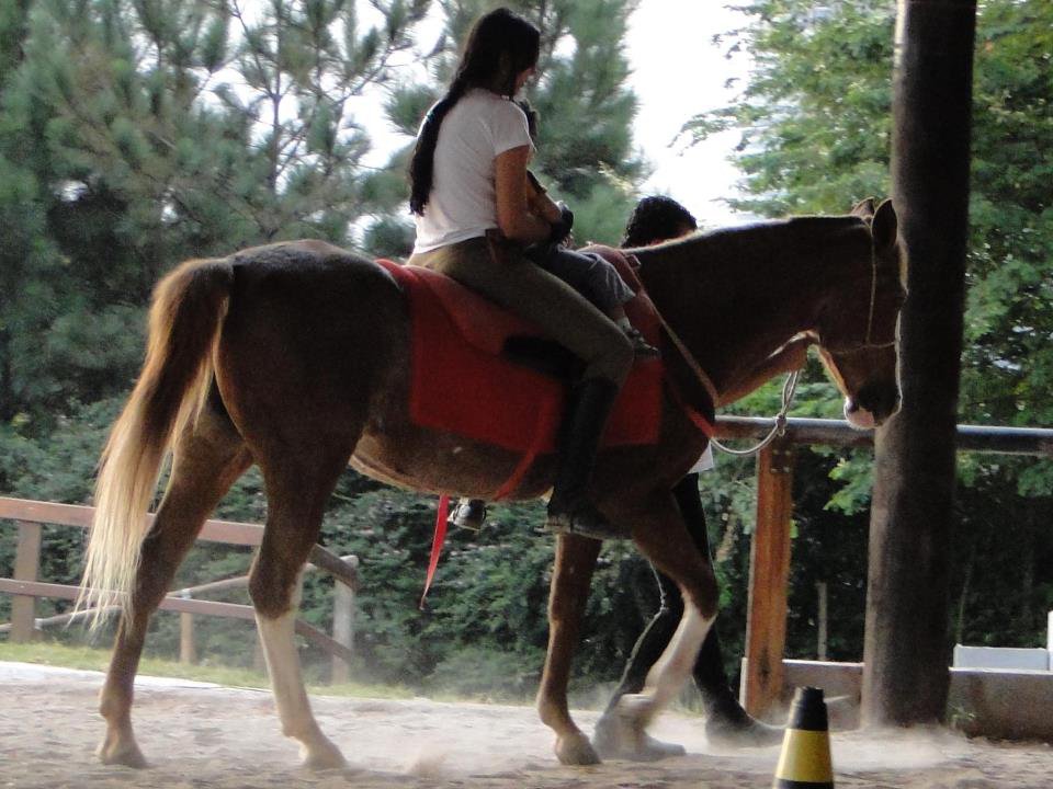 Descrição da imagem #PraCegoVer: Imagem no formato retangular, na horizontal. A equoterapeuta durante o atendimento de um paciente com deficiência. Ambos estão montados no cavalo. Fim da descrição.