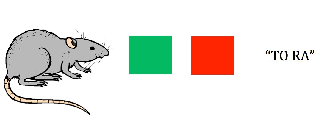 Descrição da imagem #PraCegoVer: Imagem no formato retangular, na horizontal. A ilustração de um rato cinza, seguido de dois quadrados coloridos, nas cores vermelho e verde. Ao lado dos quadros estão as sílabas "TO RA". Fim da descrição.