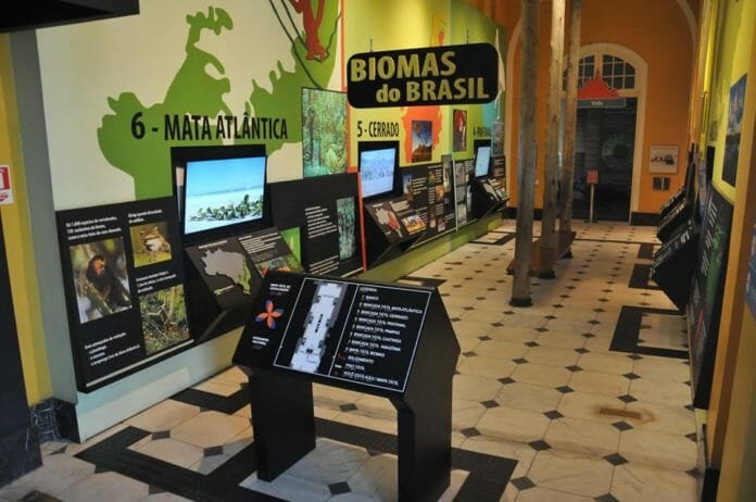 Descrição da imagem #PraTodosVerem: Imagem no formato retangular, na horizontal. A sala da exposição com recursos de acessibilidade, como maquetes táteis. Fim da descrição.