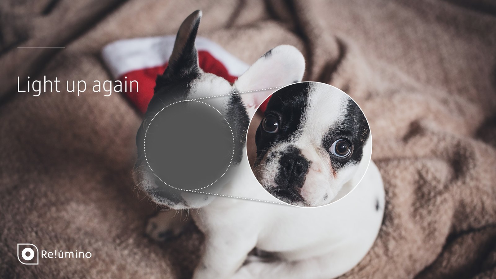 Descrição da imagem #PraTodosVerem: Imagem no formato retangular, na horizontal. Imagem de um cachorro com o focinho ampliado. Fim da descrição.