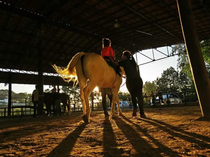 Descrição da imagem #pracegover: Um cavalo branco durante sessão de equoterapia. Vemos a sombra do animal, refletida no chão de terra do setting terapêutico. Uma criança está montada no cavalo e ela é acompanhada pela equoterapeuta. Fim da descrição.
