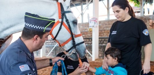 #descriçãodaimagem: Foto de uma sessão de equoterapia. Uma criança está dando cenoura para um cavalo. A criança está acompanhada de três profissionais, especializados em equoterapia. Fim da descrição.
