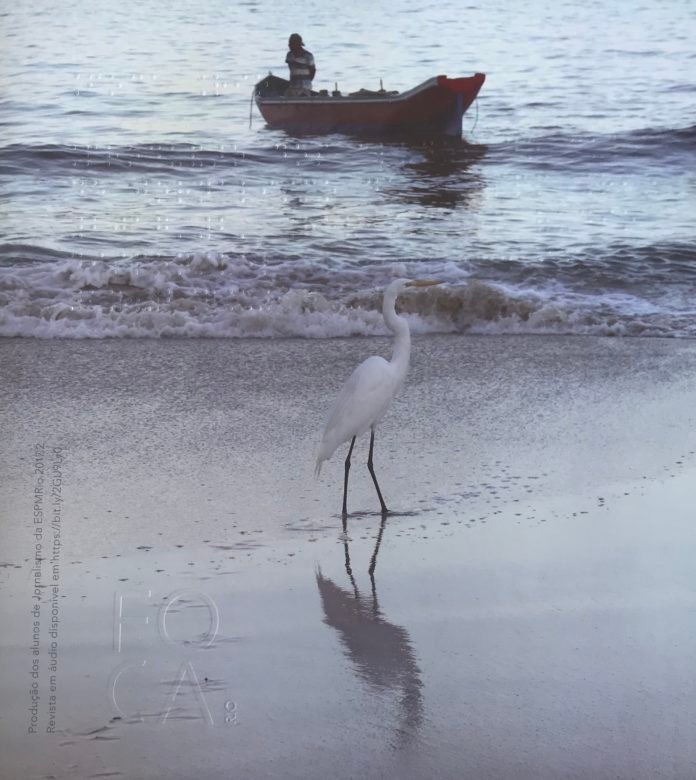 Descrição da imagem #PraCegoVer: Imagem no formato retangular, na vertical. Capa da revista com acessibilidade para cegos da ESPM-Rio. A imagem é de uma praia, onde vemos um barco se aproximando da faixa de areia, onde está um ganso branco. A imagem tem tons acinzentados. Fim da descrição.