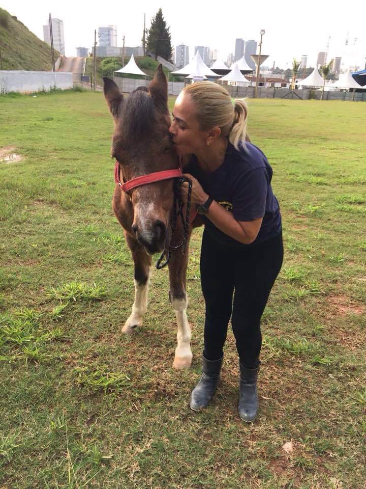 Descrição da imagem #pracegover: Foto de uma integrante da equipe de equiterapia está beijando um cavalo marrom. Eles estão em uma área gramada. Fim da descrição.