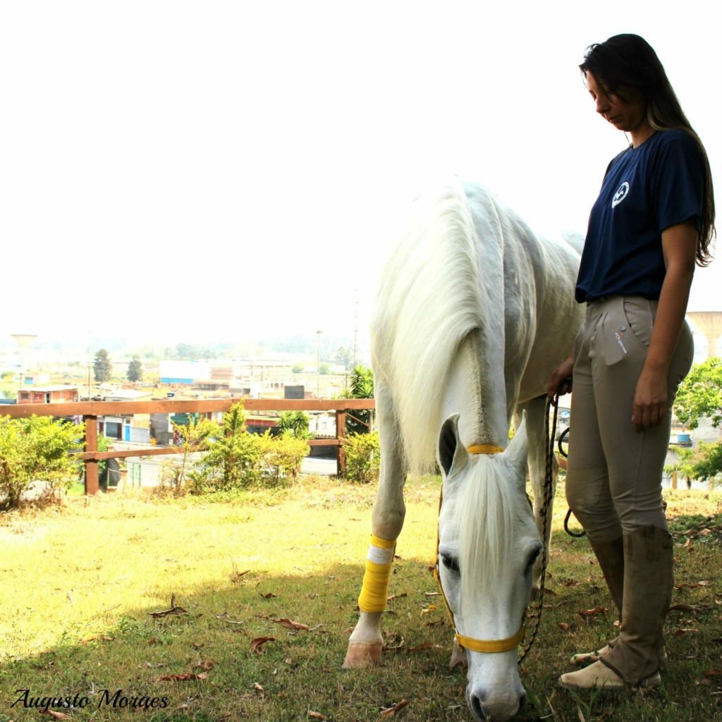 Descrição da imagem #PraCegoVer: Imagem no formato quadrado. A equoterapeuta Eliane está ao lado de um cavalo branco. Eles estão em uma área verde. Eliane é uma mulher morena, de pele clara e cabelos lisos, longos e castanhos. Fim da descrição.