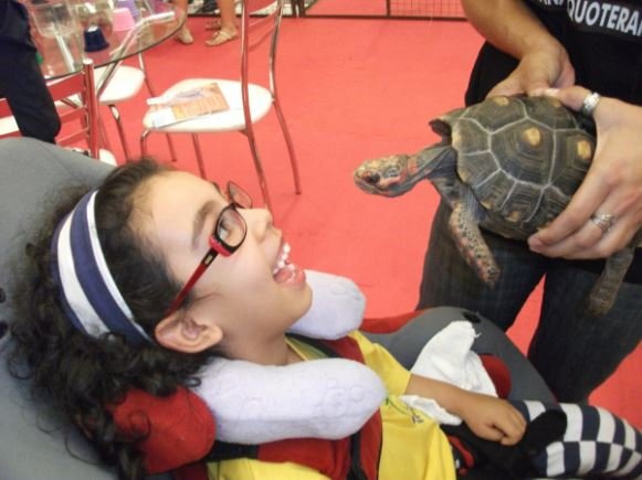 Descrição da imagem: Foto de uma menina que tem paralisia cerebral. Ela está sentada em sua cadeira de rodas e interage com uma tartaruga. A menina está sorrindo. Fim da descrição.