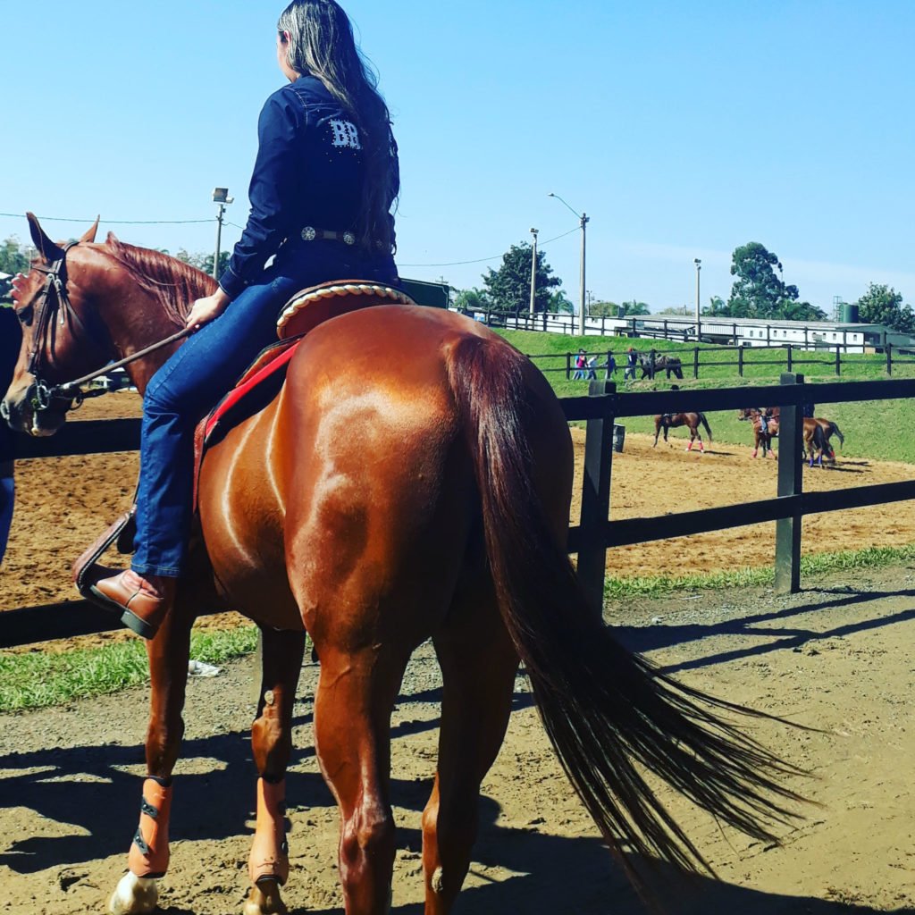 Descrição da imagem #PraCegoVer: A equoterapeuta Eliane Baatsch está montada em um cavalo marrom. Eles estão de costas. Fim da descrição.