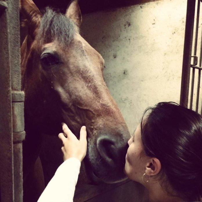 Descrição da imagem #PraCegoVer: Uma mulher beija o focinho de um cavalo marrom. Fim da descrição.