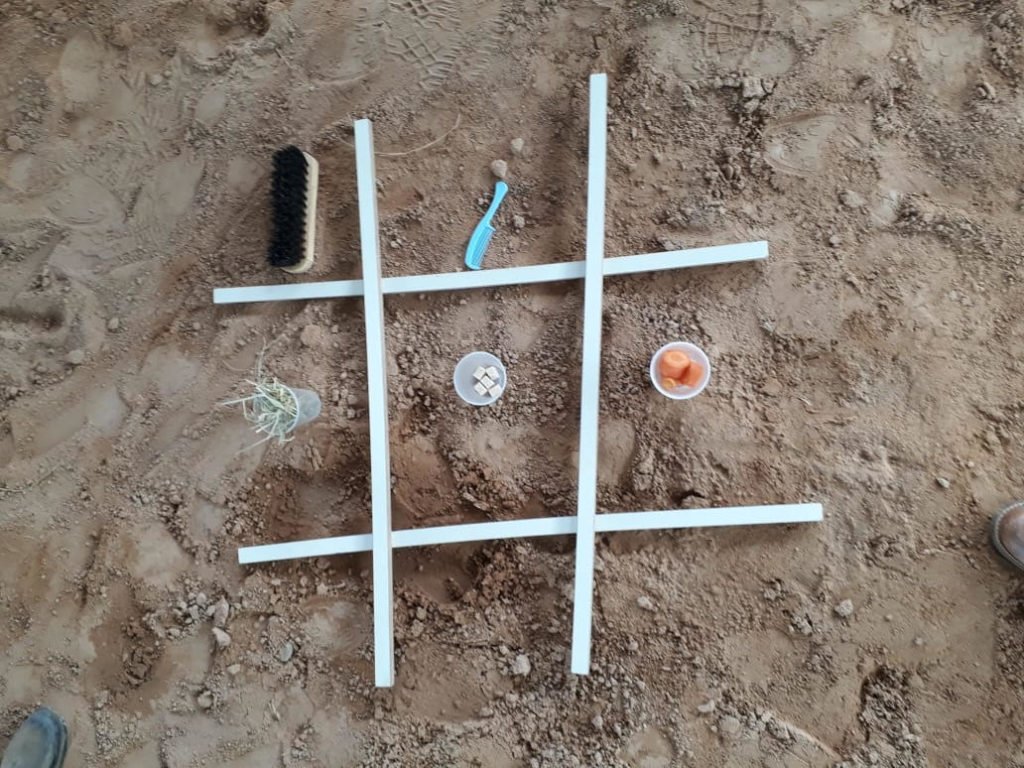 Descrição da imagem #PraCegoVer: Quatro tiras de madeira formam um jogo da velha no chão batido de terra. Copos de plástico com petiscos para os cavalos e pentes compõem as peças do jogo. Fim da descrição.