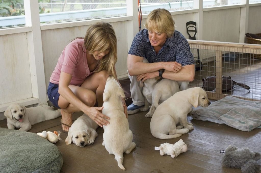 Descrição da imagem #pracegover: Cena do filme Marley & eu. Uma mulher e um homem estão brincando com cachorros. Fim da descrição.
