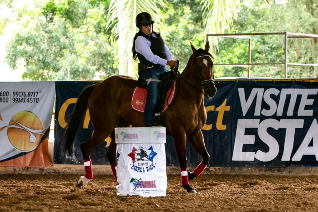 Descrição da imagem #pracegover: A paratleta Andreia Úrsula durante torneio de hipismo. Andreia está montada no cavalo no meio do setting de competição. Fim da descrição.