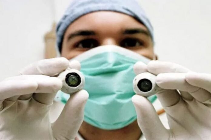 Descrição da imagem #pracegover: Um homem segura duas córneas artificiais. Fim da descrição.