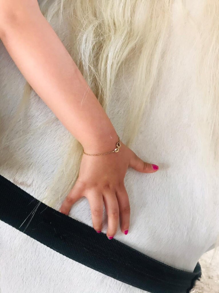 Descrição da imagem #pracegover: A mão de uma criança sobre o pelo branco de um cavalo. Fim da descrição.