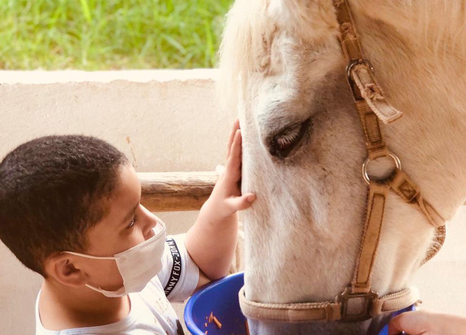 Descrição da imagem: Foto de um menino alimentando um cavalo. Fim da descrição.