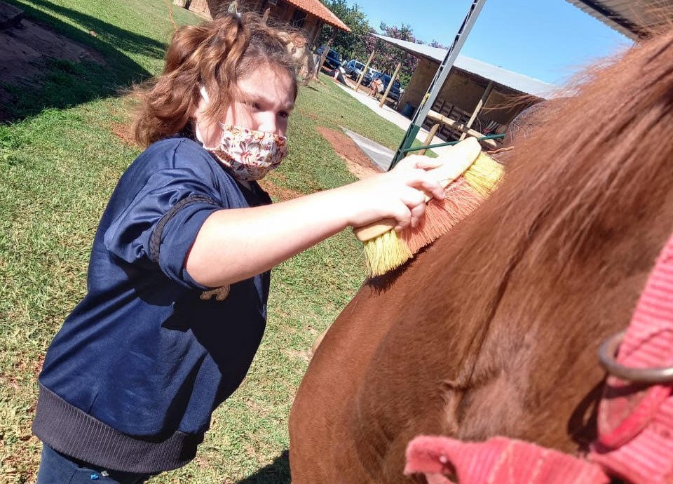 Descrição da imagem: Foto da menina Ester. Ela está escovando um cavalo marrom. Fim da descrição.