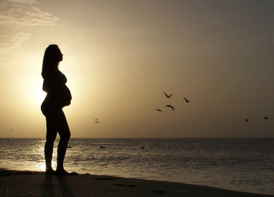 Descrição da imagem: Foto de uma mulher grávida. A iluminação permite ver apenas a sombra da mulher, que está com as mãos sobre a barriga e, ao fundo, estáo mar. Algumas gaivotas sobrevoam o mar. Fim da descrição.