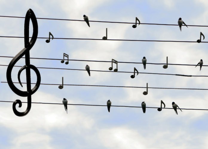 Descrição da imagem: Arte com a imagem de notas musicais e pássaros sobre fios de energia. Ao fundo vemos o céu azul entre nuvens brancas. No canto esquerdo há uma grande nota musical. Fim da descrição.