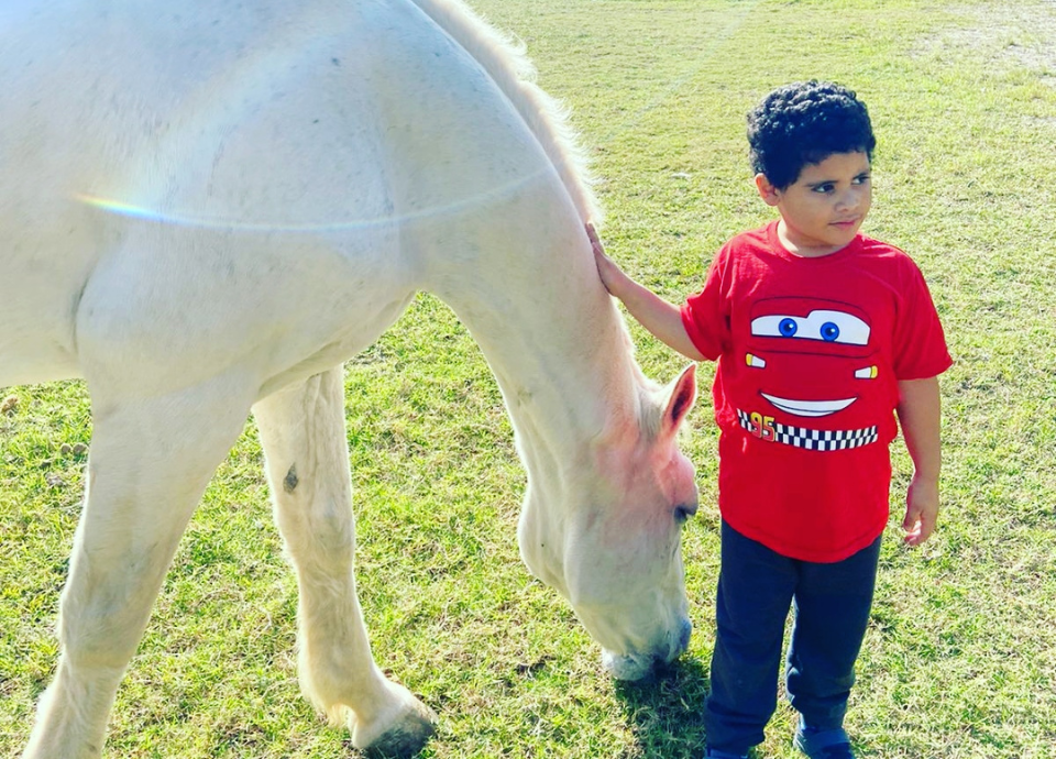 Descrição da imagem: foto de um menino ao lado de um cavalo. Fim da descrição.