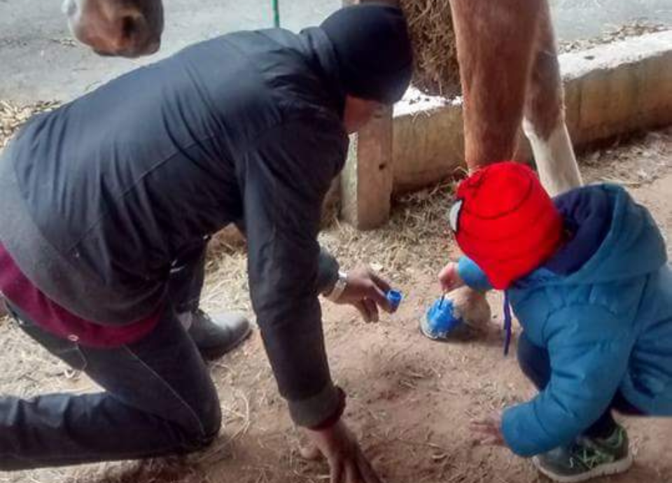 Descrição da imagem: foto de uma sessão de equoterapia. Uma criança está pintando o casco da égua Babi, sob supervisão de um profissional de equoterapia. Fim da descrição.