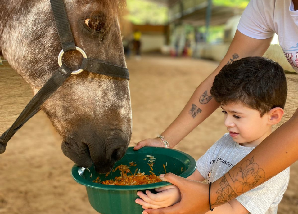 #descricaodaimagem foto de uma criança alimentando um cavalo, com a supervisão de um profissional de equoterapia. Fim da descrição.