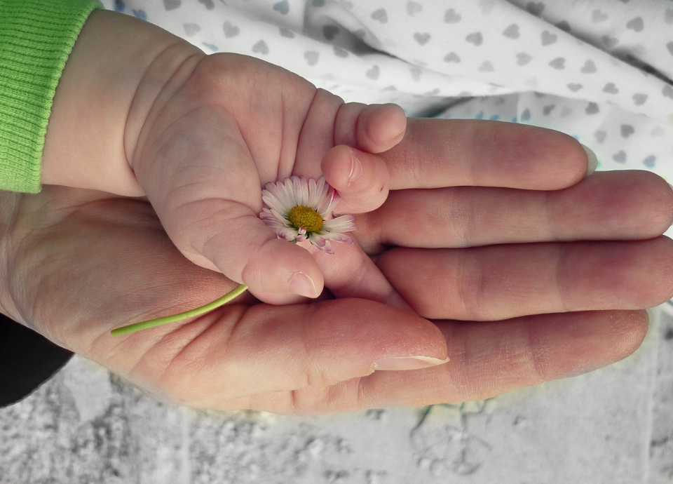 #descricaodaimagem #pracegover foto de uma mão de criança sobre a mãe de uma pessoa adulta. Sobre a mão da criança está uma pequena flor. Fim da descrição.