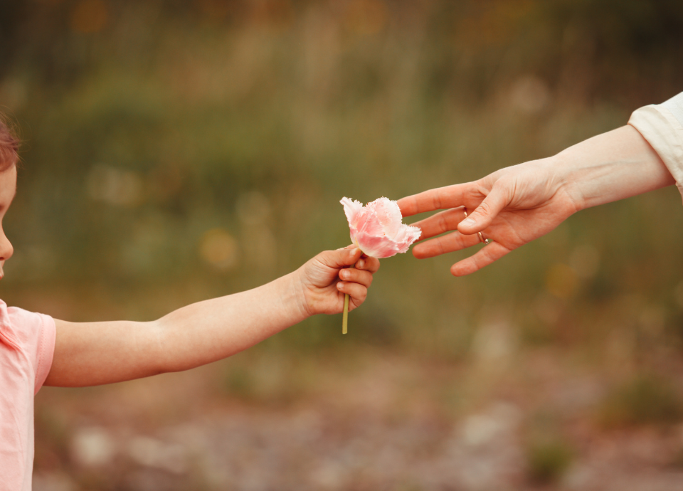 #descricaodaimagem #pratodosverem foto das mãos de uma menina entregando uma rosa nas mãos de uma mulher.