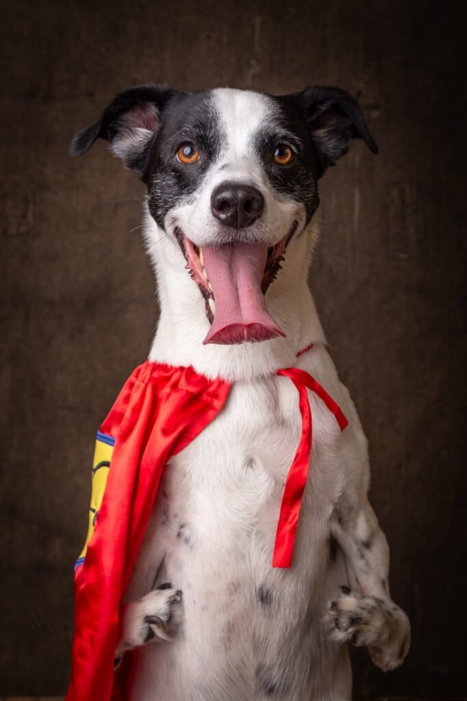 #descricaodaimagem #pratodosverem foto do Super Noopy. Ele é um cachorro branco com manchas pretas na região dos olhos e orelhas. Super Noopy usa uma capa vermelha e está sentado. Suas patas dianteiras têm uma malformação.