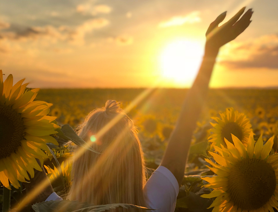 #descriçãodaimagem #pratodosverem foto de uma mulher contemplando o pôr do sol em meio a um campo de girassol.