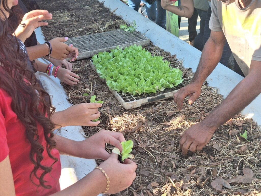 #descriçãodaimagem #pratodosverem foto de mãos plantando hortaliças.