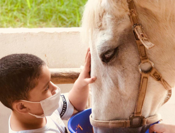 #descriçãodaimagem #pratodosverem foto de um menino alimentando um cavalo.