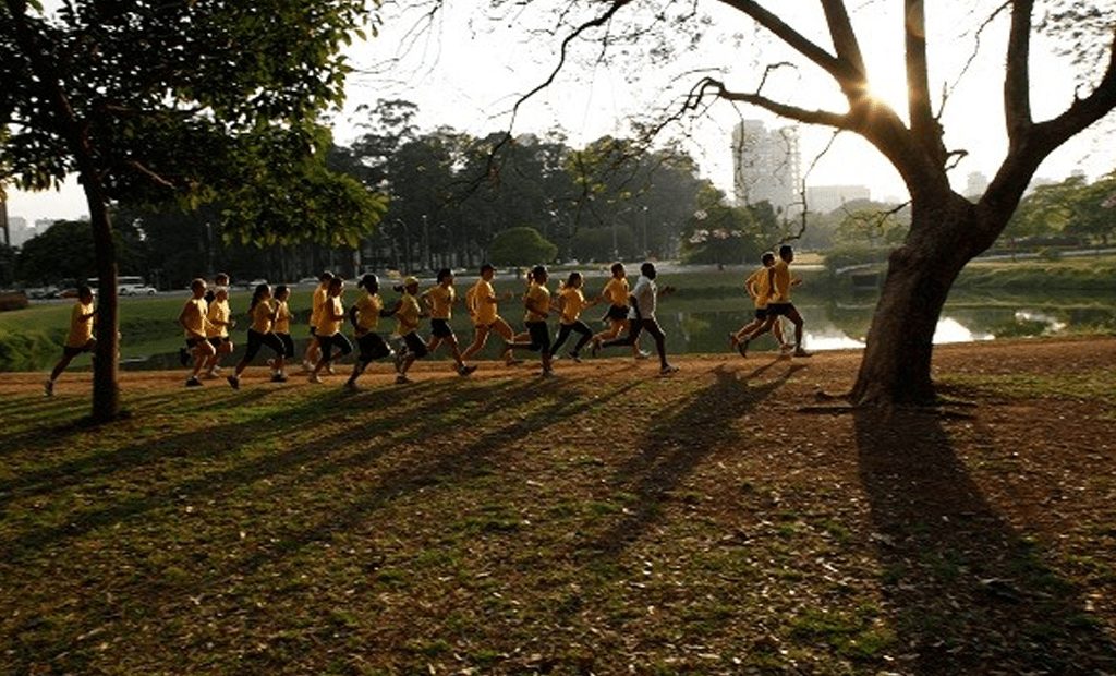 #descriçãodaimagem #pratodosverem foto do Parque do Ibirapuera, em São Paulo, com árvores verdes, um lago ao fundo e pessoas caminhando pelo caminho principal.
