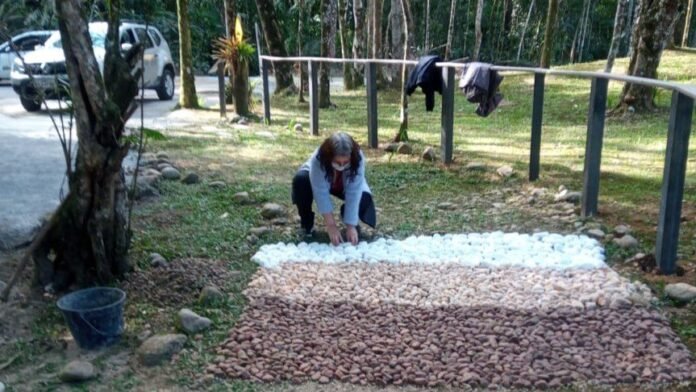 #descriçãodaimagem #pratodosverem foto de uma mulher tateando algumas pedras em um parque.